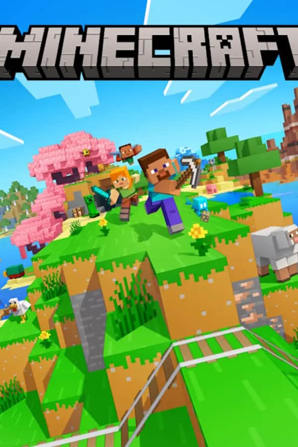Minecraft server hosting
